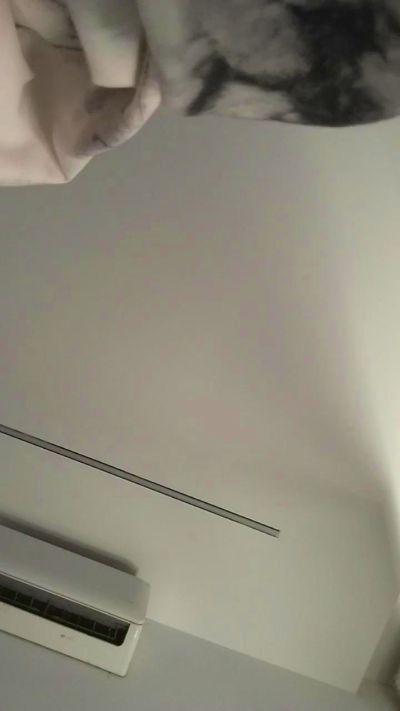 Hbkkfkfjdz2 from Italy