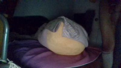 jayshaunbradle3 from United States