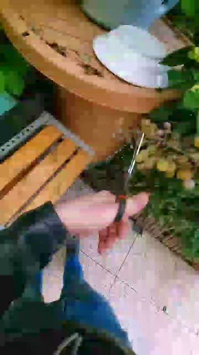tomsauwer from France
